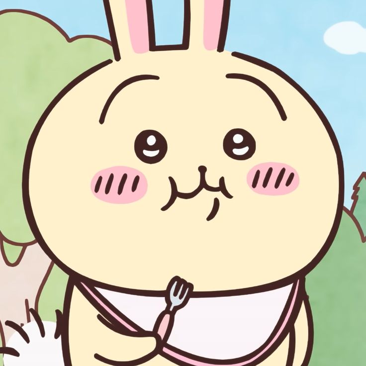Usagi character
